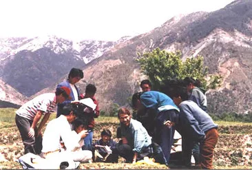 Image description