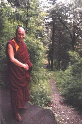 Image description